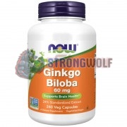 Ginkgo [Гинкго Билоба] (60 мг x 240 капс), NOW Foods